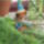 20090606_051_252392_48873_t