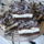 Csokis_reszelos_turos_szelet_2052524_9618_t
