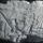 Ehnaton-034_2052941_8861_t