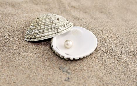 sand-pearls-seashells-wallpaper