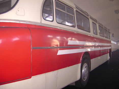 Ikarus