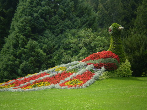 Svájc Mainaui virágsziget