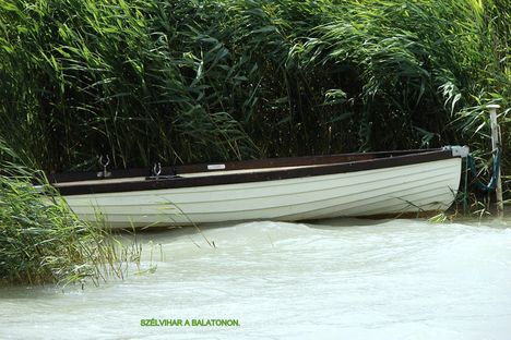 Balaton nélkül, nem tudok élni! 13