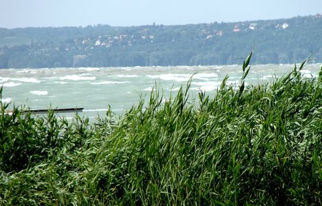 Balaton nélkül, nem tudok élni! 8