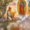 December 9.Szent Juan Diego Cuauhtlatoatzin, Guadalupei látnok 