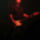 0605-008_255786_29160_t