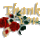Koszike_255690_56080_t