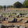 Philippi_258210_85041_t