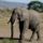 Kenya2006-063_259604_35080_t