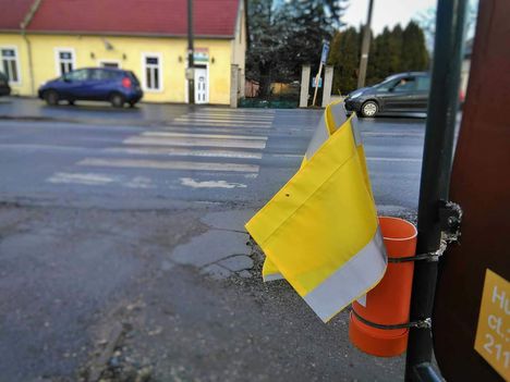 Zászlót a veszélyes zebrákra! mozgalom