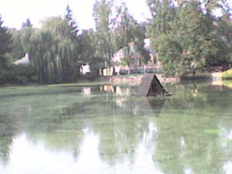 a tó balról