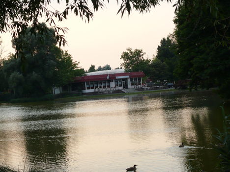A tó este