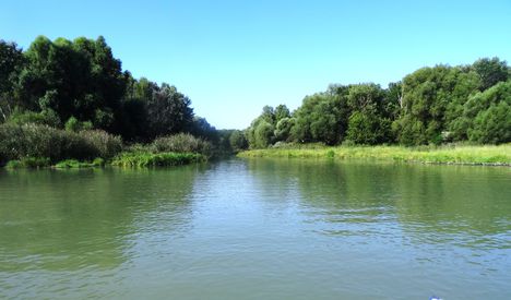 Duna folyam 1849,6 fkm a Jónási Duna-ág torkolata a jobb parton, Rajka. 2016 augusztus 24.-én