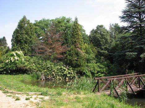 Kámoni Arborétum (12)
