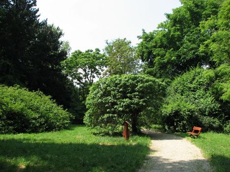 Kámoni Arborétum (15)