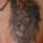 Magor_tattoo__lion_king_25421_737447_t