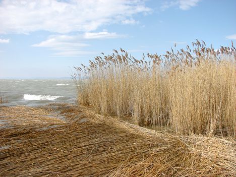 Őszi panoráma. 3