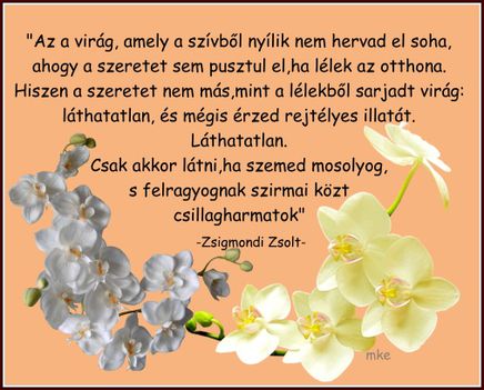 A virág mely szívből nyilik