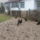 Barneverderek_1_262951_57565_t