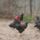 Barneverderek_3_262953_45616_t