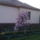 Dsc02929_262729_59841_t