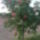 Dsc02992_262730_31058_t