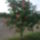 Dsc02993_262731_63338_t