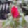 Dsc03041_262735_72606_t