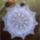 Gyonyoru_terito_2062699_4353_t