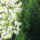 Img_0614-002_262456_56737_t