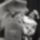 Gyenge_arpad_pecsi_sandor___scapin_furfangjai_1959_2063190_5638_t