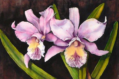 Orchideák 04 Cattleya, 20x30 cm