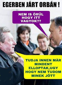 Orbi Egerben