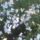 102_266821_36602_t