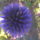 103_266820_99445_t