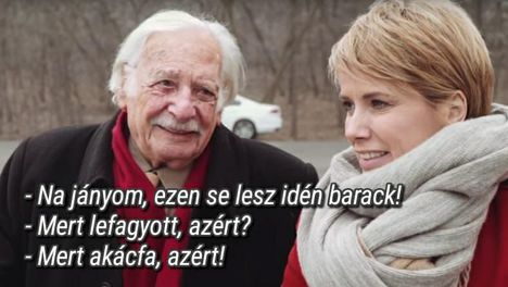 Az, bizti!
