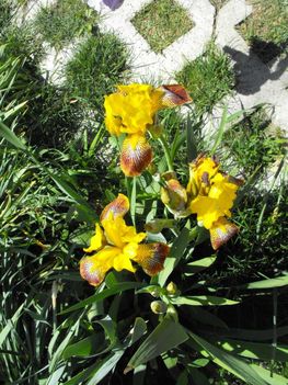 DSCF2219s