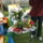 Dscf8242_266273_79469_t