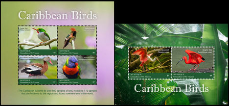 Karibi madarak