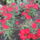 Kepek_20090405_016_266798_61664_t