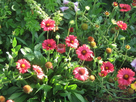 képek 2009.04-05. 026