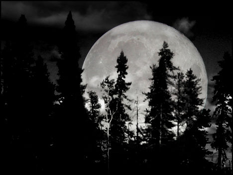 moon_by_nyktalgia