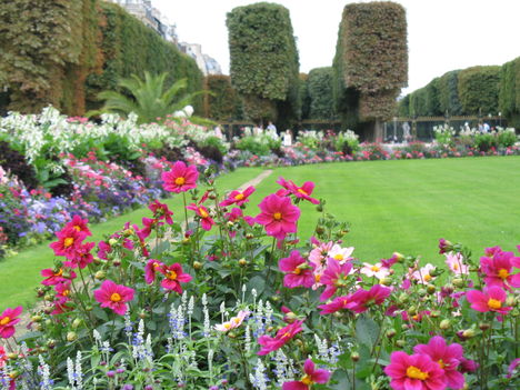 Rendezett park