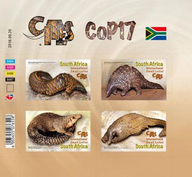 4-CITES-COP17-Pangolin