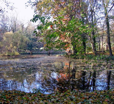 Alcsútdoboz Arborétum 012_edited