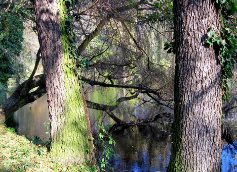 Alcsútdoboz Arborétum 034_edited