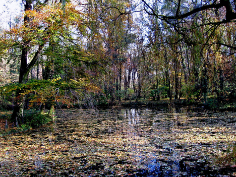 Alcsútdoboz Arborétum 048_edited