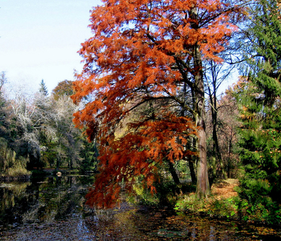 Alcsútdoboz Arborétum 049_edited