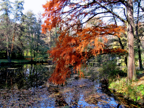 Alcsútdoboz Arborétum 050_edited