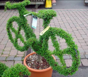 garden_bike